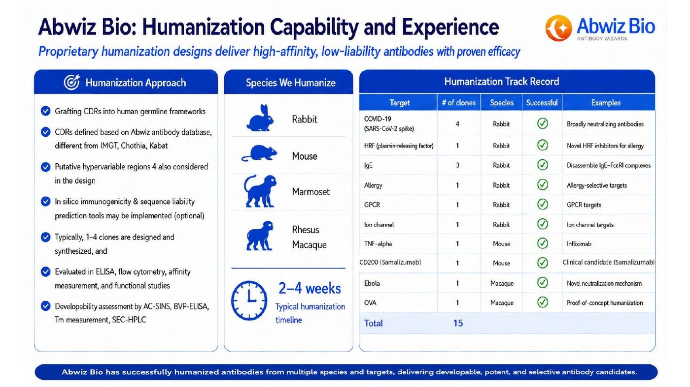 AbWiz Bio humanization capability chart showing approach, species humanized including rabbit mouse marmoset and rhesus macaque, and a 15 of 15 success track record across COVID-19, HRF, IgE, GPCR, ion channel, TNF-alpha, CD200 and Ebola targets