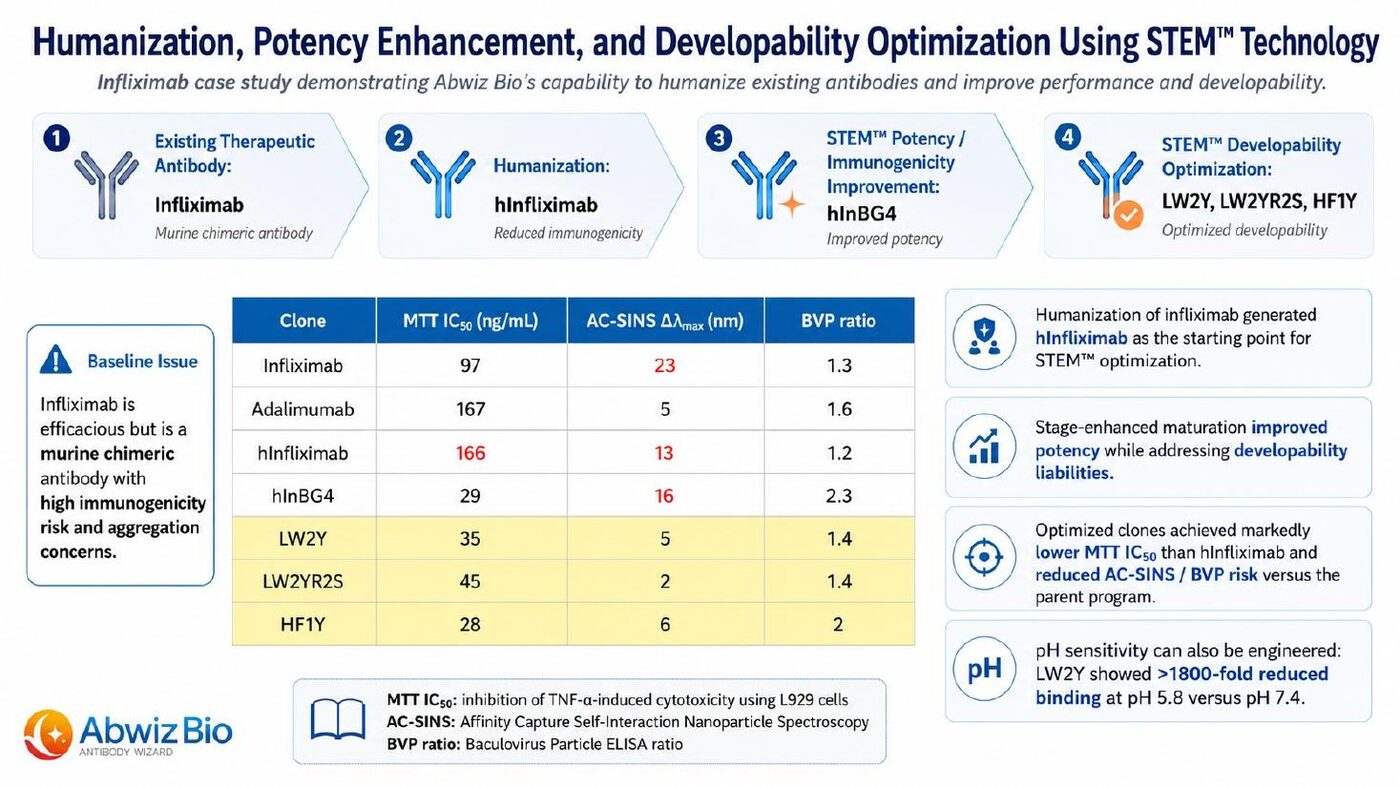 Infliximab humanization and STEM optimization case study showing MTT IC50, AC-SINS and BVP ratio improvements for optimized clones LW2Y, LW2YR2S and HF1Y